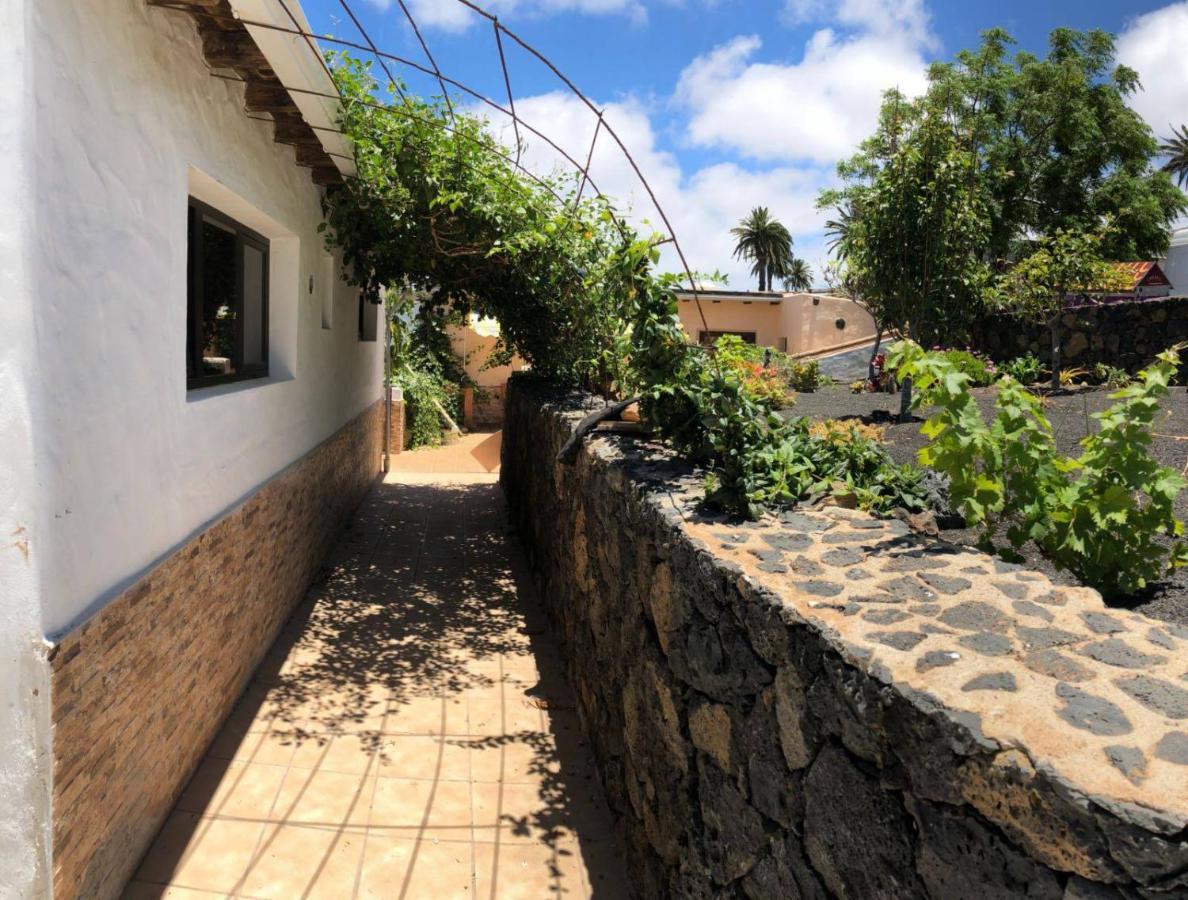 Casa Palmera Y Casa Datil Haría Eksteriør billede