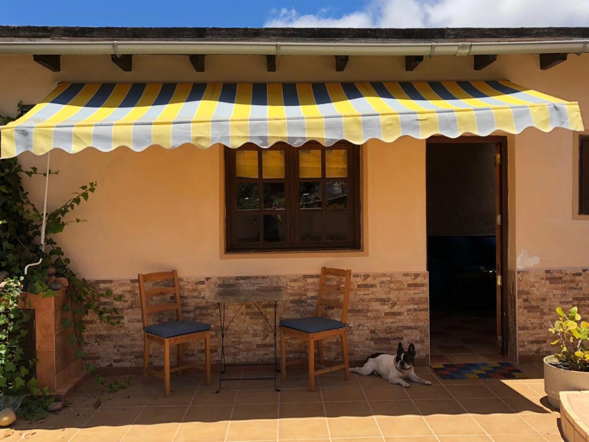 Casa Palmera Y Casa Datil Haría Eksteriør billede